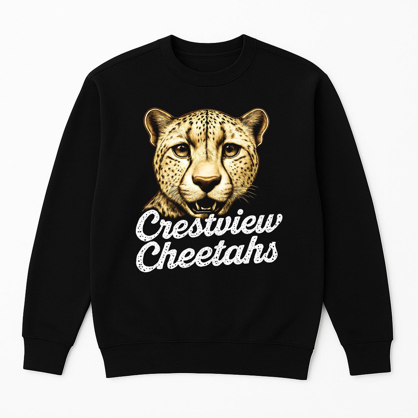 Crestview Elementary Cheetah